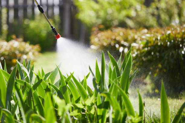 Tamper-Resistant Bait Stations for Rodents in Lake Mills
