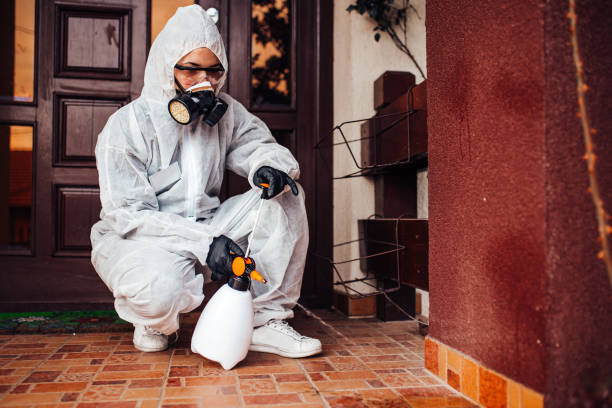 Attic and Crawl Space Rodent Treatment in Lake Mills