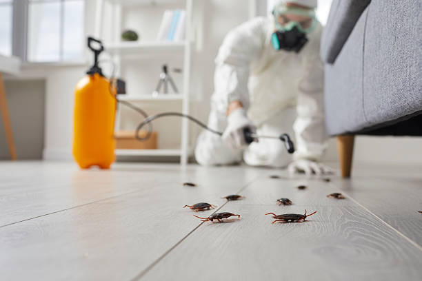 Commercial Rodent Management in Lake Mills